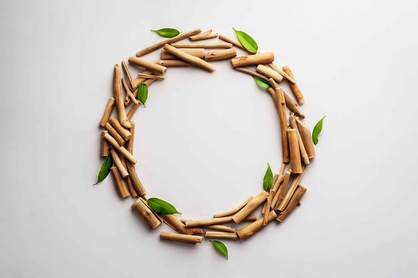 Quelles astuces pour conserver efficacement vos aliments et éviter le gaspillage ?