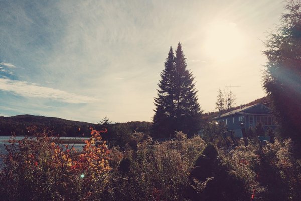 Comment réussir à cultiver des légumes d'automne dans votre jardin ?